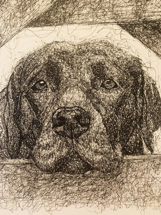 Pet Portrait Scribbles