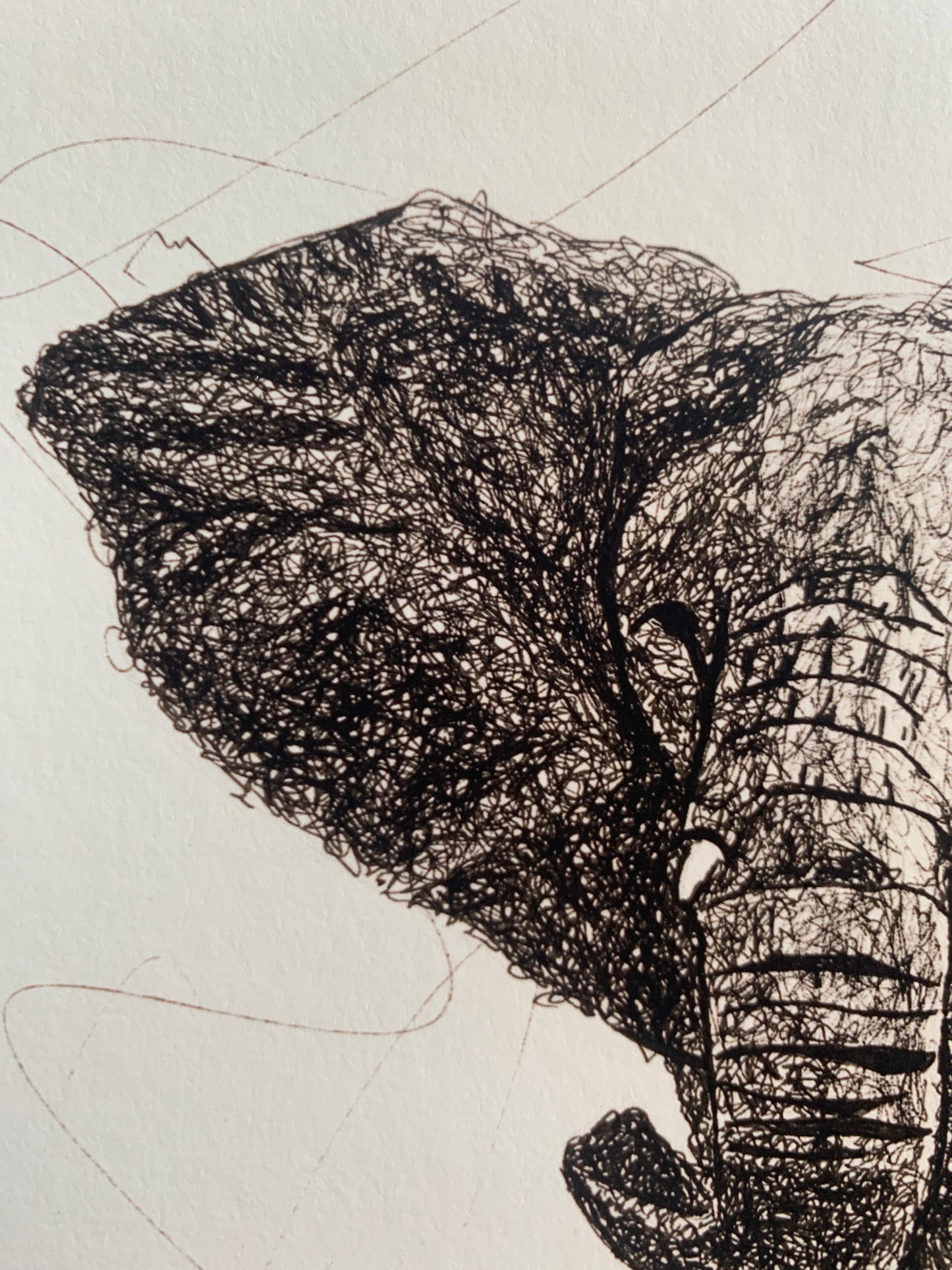 Elephant Scribble Giclée Print